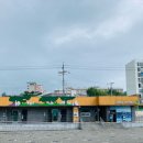 왕버들로 이미지