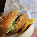 버거킹 신설동역점 | [신설동 맛집] 버거킹 올데이 세트 5500원부터! 몬스터JR &amp; 콰트로치즈와퍼 부수고 온 후기 🍔🍟