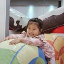 국가대표 부부태권도장 이미지