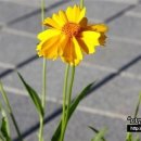 의령예술촌(야외) 이미지