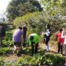 사창농장 이미지