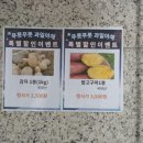 맛있는과일신선한야채