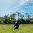 등대농수산 이미지