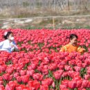 낙동강관리본부 화명생태공원 8 이미지