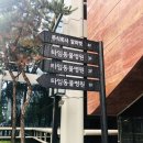 타임메디컬 티스토리
