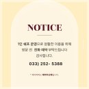 [춘천/맛집] 제이파파피자 평일 점심 후기