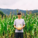 세정농장 이미지