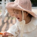 핑크52 이미지