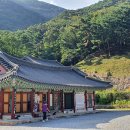 동해시-21 이미지