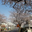 서호동-30 이미지