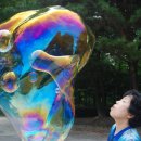 버블랜드 이미지