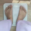 고지집 | 소유 다이어트 식단 저는 이렇게는 못하겠더라구요 연예인 키토제닉 저탄고지 다이어트 후기 X
