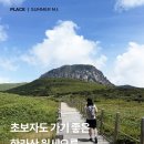 중문레지나김밥 | 8월18일 / 제주도 한라산 윗세오름 최단코스