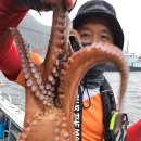 군산대박 이미지