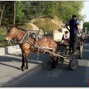 과거와 현재가 공존하는 중국 - 벤츠와 마차 이미지