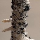 CW-1024-01 이미지