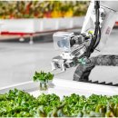 강철농장 이미지