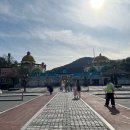 조이랜드 | 설날 명절 대전 '오월드' 주랜드 사파리, 조이랜드 이용 후기