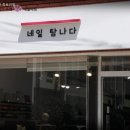 네일탐나 이미지