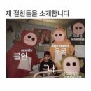 행복채움태권도 | 100문 102답