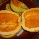 샘밭 농장 이미지