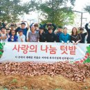 텃밭 수완점 이미지