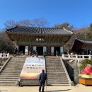 카페더팜 티스토리