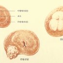 준비뇨기과의원 이미지