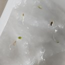 발화농장 이미지