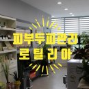 로틸리아 이미지