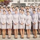 테마항공여행사 이미지
