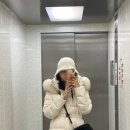 신사벌식당