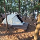 울진대게집일출 이미지