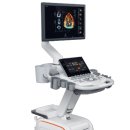 글로벌 송림 이미지