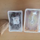 신참떡볶이(청주복대점) 이미지