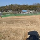 산속골농장 이미지