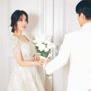 도화 이미지