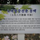 11월카페 이미지