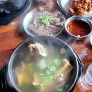 신백정
