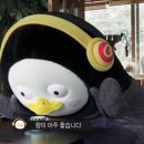 와이엠디 이미지