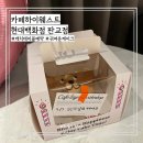 판교역로146번길 | 판교 현대백화점 카페하이웨스트 케이크 포장 파이브가이즈 감자튀김 솔직후기