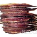 미소과메기 이미지