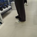 아디다스롯데월드몰 이미지
