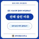 행정사조현기사무소 티스토리
