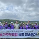 북강릉농업협동조합