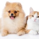 연두동물병원 이미지