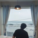 제주섬타임즈 이미지