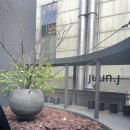 압구정로데오 Juun.j 카페 - 펠트커피 도산공원점 내돈내산 솔직 후기