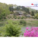 충민