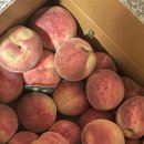 선산분홍복숭아 이미지